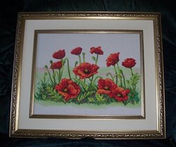 Dimensions - Field of Poppies