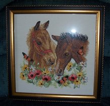 Dimensions - Horse Friends