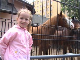 Отпустить бы их на волю!