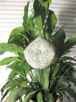 Бискорню 'Снежинка'