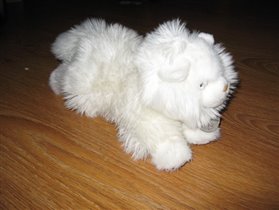 Кот белый пушистый-300р
