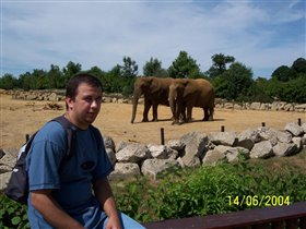 Слонопотамы привет!!1