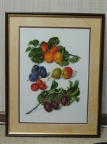 Thea Gouverneur 3062 Fruit Sampler