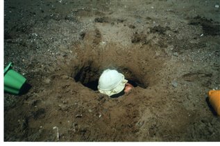 а что там внутри?