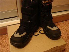 сапожки экко