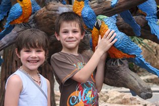 начало яркой жизни