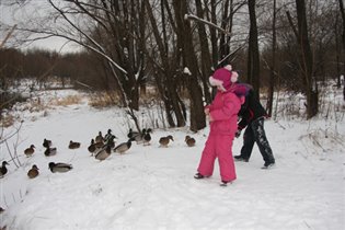 Уточки на Клязьме