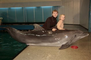 Дельфин очень кожаный:)