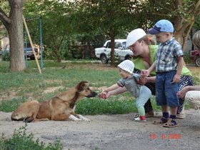 Наш новый верный друг-собака