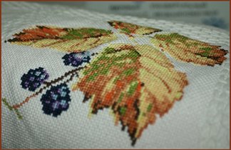 Робин Татьяны Скво..., продолжение