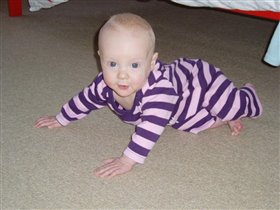 полосатый ползуночек :)