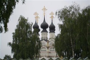 Вид на купола монастыря
