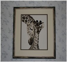 Жирафы: мама и ребенок, или Автопортрет :)