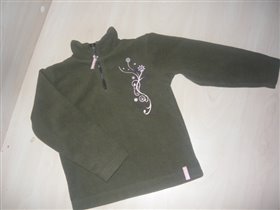 Флиска Лемми