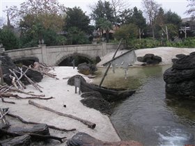 Остров пиратов