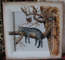 'Уставший кот'