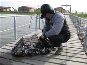 Рыбка. На заднем плане наши домики.