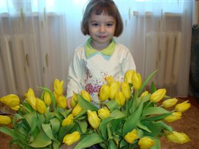 Желтые тюльпаны