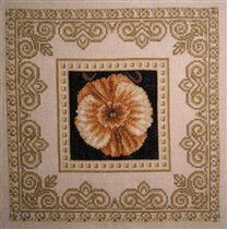 Роза песков (Золотое руно)