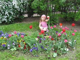 Цветы Александровского сада