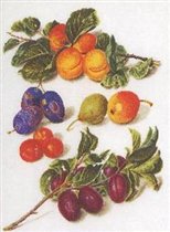 Thea Gouverneur 3062 Fruit Sampler 