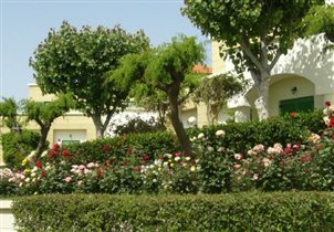 Родос Марис, территория