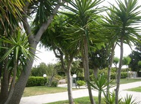 территория