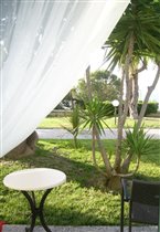 а из нашего окна))