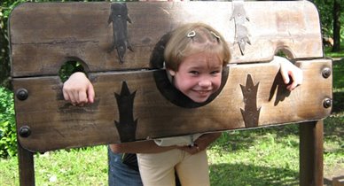 Неплохая идея