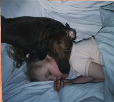 Неразлучные друзья