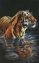 'Tiger Chilling Out', Dimensions