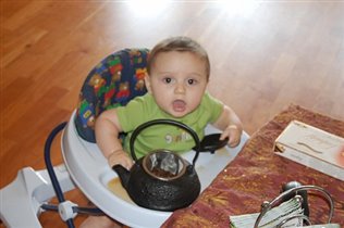 Мелкий хулиган и пакостник. Стащил чугунный чайник!  7 месяцев.