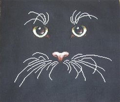 Черный кот :-)