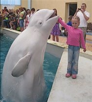Дельфинарий в Кисловодске