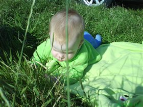 В траве сидел кузнечик