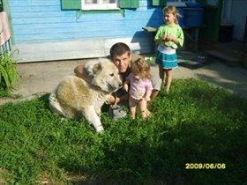 Собака и дети