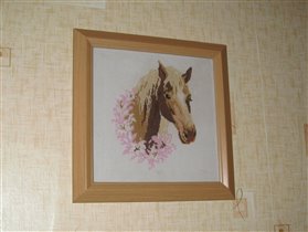 Riolis - Лошадь