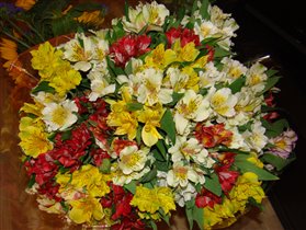 альстромерия