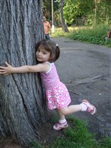 Вот это дерево!