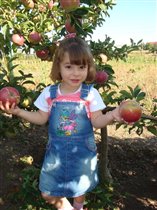 Вот такой урожай!