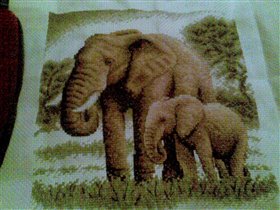 Слоны (19х19)