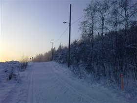 Финляндия, Тахко, лес.
