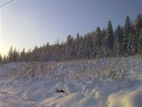Финляндия, Тахко, поле, лес.