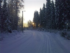 Финляндия, Тахко, лыжня с подсветкой.