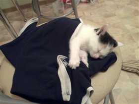 Подметать веником крайне утомительно