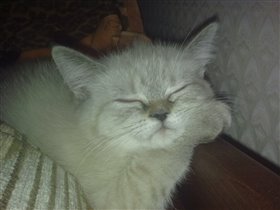 а сон такой сладкий