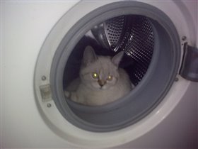 место для пряток