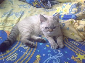 нам 7 месяцев