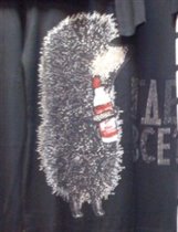 ежик:где все?