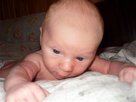 две недельки. учимся держать головку